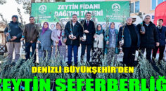 Denizli Büyükşehir’den zeytin seferberliği