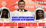 Denizli Büyükşehir’den arıcılığa altın dokunuş