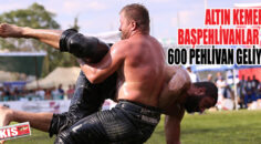 Altın kemerli başpehlivanlar ve 600 pehlivan geliyor