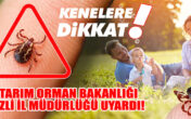 Havalar Isındı, Kenelere Dikkat!
