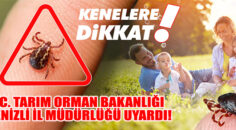 Havalar Isındı, Kenelere Dikkat!