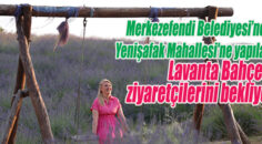 MERKEZEFENDİ’NİN LAVANTA BAHÇESİ ZİYARETÇİLERİNİ BEKLİYOR