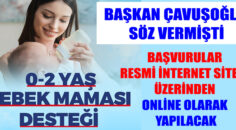 Denizli Büyükşehir’den bebeklere mama desteği
