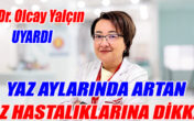 YAZ AYLARINDA ARTAN GÖZ HASTALIKLARINA DİKKAT