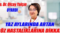 YAZ AYLARINDA ARTAN GÖZ HASTALIKLARINA DİKKAT