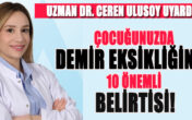 ÇOCUĞUNUZDA DEMİR EKSİKLİĞİNİN 10 ÖNEMLİ BELİRTİSİ