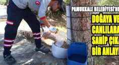 PAMUKKALE BELEDİYESİ’NDEN DOĞAYA VE CANLILARA SAHİP ÇIKAN YENİ BİR PROJE