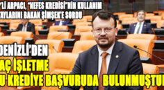 CHP’li Arpacı, “Nefes Kredisi”nin kullanım detaylarını Bakan Şimşek’e sordu