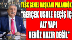 PALANDÖKEN, “GERÇEK USULE GEÇİŞ İÇİN ALT YAPI HENÜZ HAZIR DEĞİL”