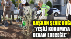 BAŞKAN ŞENİZ DOĞAN, “YEŞİLİ KORUMAYA DEVAM EDECEĞİZ