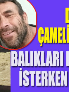 ÇAMELİ’DE ACI OLAY