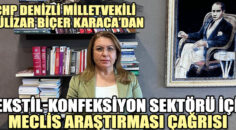 CHP DENİZLİ MİLLETVEKİLİ GÜLİZAR BİÇER KARACA’DAN ÇAĞRI