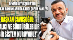 Denizli Büyükşehir’den sokak hayvanlarında kalıcı çözüm hamlesi