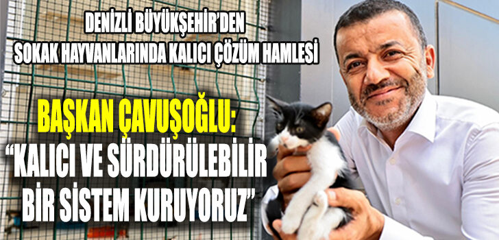 Denizli Büyükşehir’den sokak hayvanlarında kalıcı çözüm hamlesi